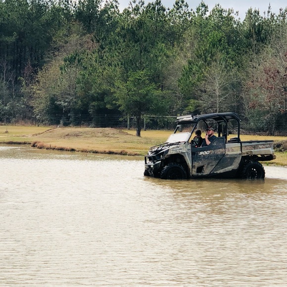 Meet your Posher, Tommy - Picture 4 of 7